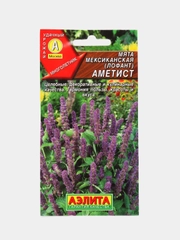 Мята мексиканская (лофант) Аметист (семена)
