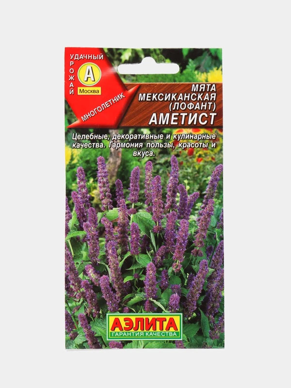 Мята мексиканская (лофант) Аметист (семена)