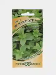 Мята "Ясная нотка" (семена)
