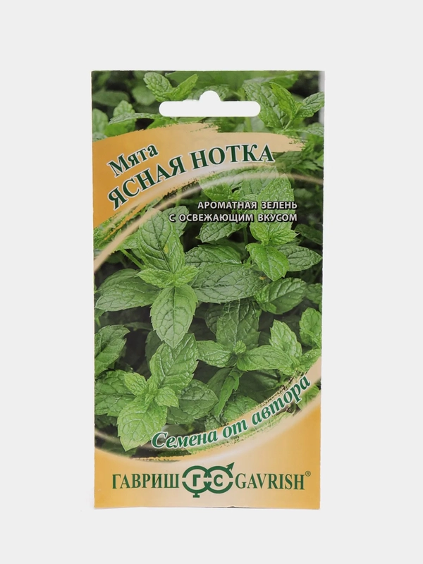 Мята "Ясная нотка" (семена)