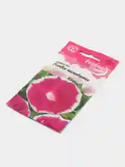 Ипомея Розовое наслаждение (семена,цветы)