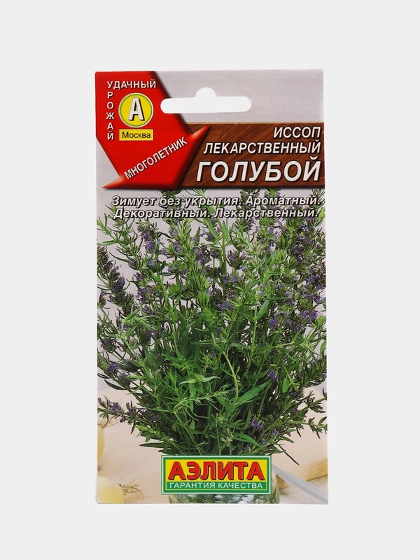 Иссоп лекарственный голубой (семена, цветы)