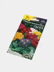 Примула Радуга, семена, цветы