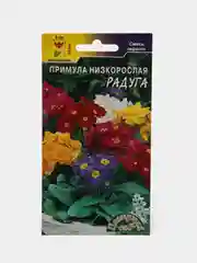 Примула Радуга, семена, цветы