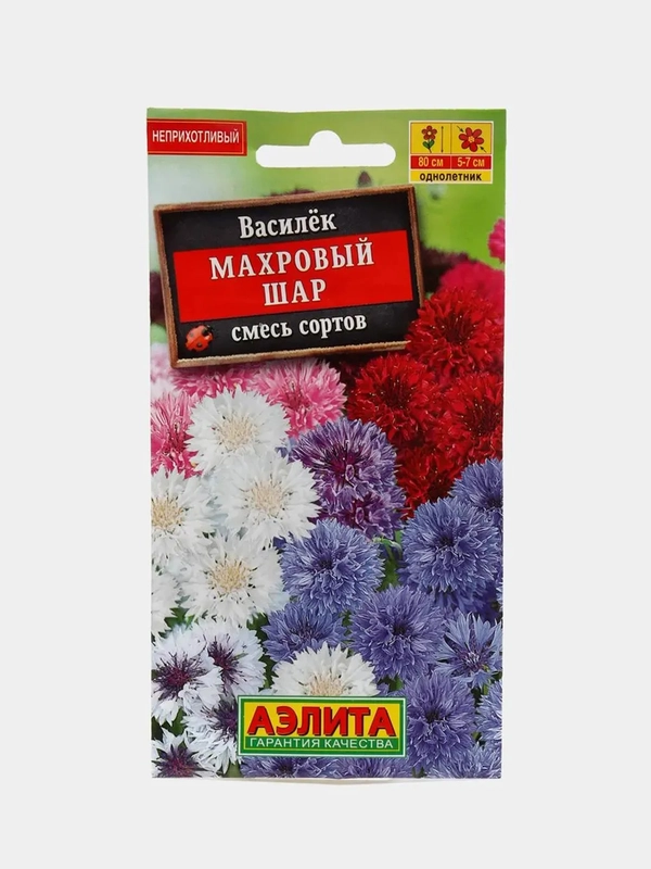 Василек "Махровый шар" (семена, цветы)