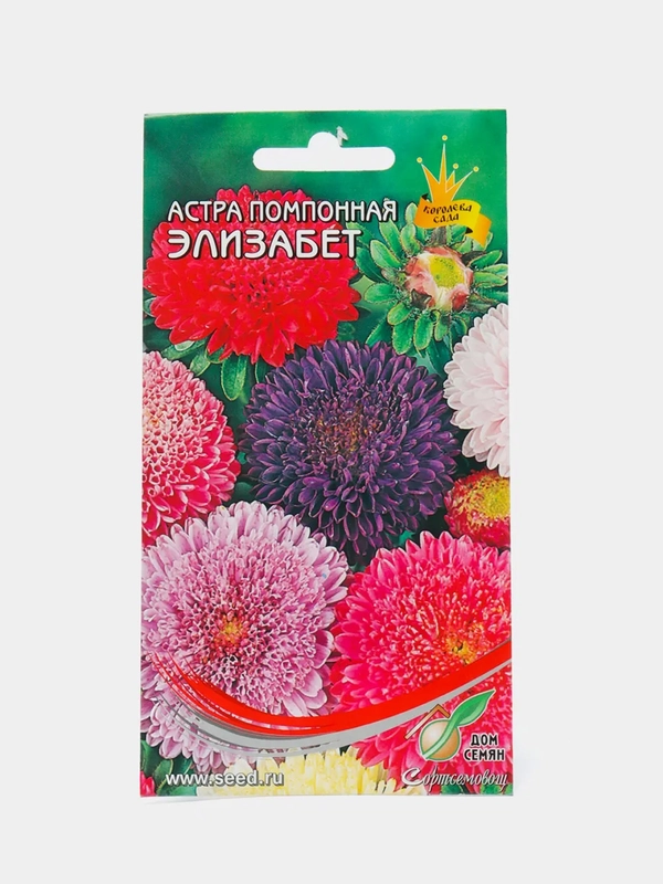 Семена цветов Астра помпонная однолетняя смесь "Элизабет"