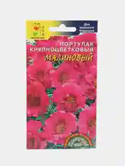 Цветы Портулак крупноцветковый Малиновый (семена)