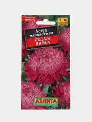 Цветы астра Седая Дама (семена)