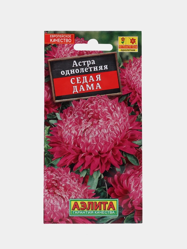 Цветы астра Седая Дама (семена)
