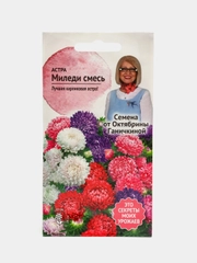 Цветы Астра "Миледи смесь", семена