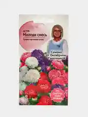 Цветы Астра "Миледи смесь", семена
