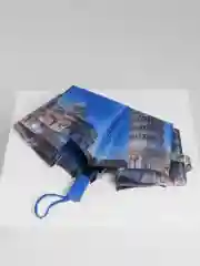 Женский зонт с принтом/Зонт от дождя и солнца