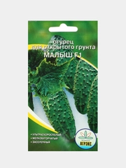 Семена Огурец "Малыш", 10 шт