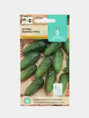 Семена Огурец "Феникс Плюс"