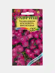 Гвоздика Красновато-фиолетовая (семена, цветы)