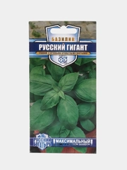 Базилик Русский гигант зеленый (семена)