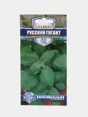 Базилик Русский гигант зеленый (семена)