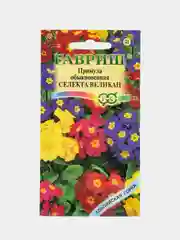 Примула Эрфрутские великаны (семена, цветы)