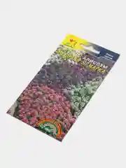 Алиссум Медовая ярмарка (семена, цветы)