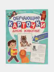 Карточки обучающие для детей двусторонние 16 шт., 170х265 мм. Проф-Пресс