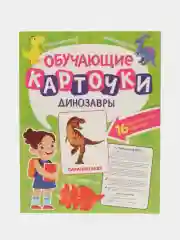 Бирюзовый карточки обучающие для детей двусторонние 16 шт., 170х265 мм. Проф-Пресс