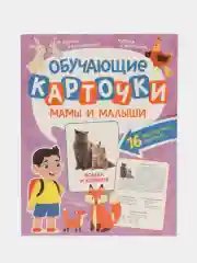 Бирюзовый карточки обучающие для детей двусторонние 16 шт., 170х265 мм. Проф-Пресс