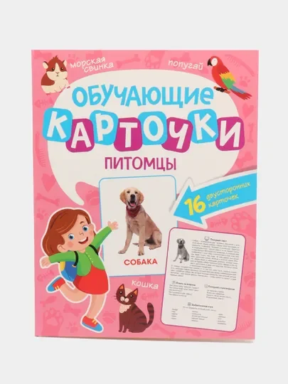 Бирюзовый карточки обучающие для детей двусторонние 16 шт., 170х265 мм. Проф-Пресс
