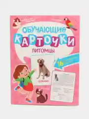 Бирюзовый карточки обучающие для детей двусторонние 16 шт., 170х265 мм. Проф-Пресс