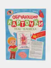 Бирюзовый карточки обучающие для детей двусторонние 16 шт., 170х265 мм. Проф-Пресс