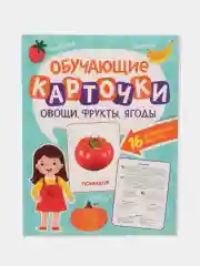 Бирюзовый карточки обучающие для детей двусторонние 16 шт., 170х265 мм. Проф-Пресс