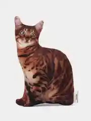 Терракотовый интерьерная подушка Собака, Кошка мини