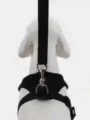 Черный шлейка с поводком для собак и кошек, светоотражающая