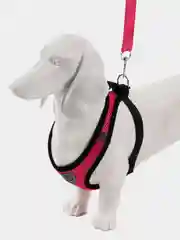 Коралловый шлейка с поводком для собак и кошек, светоотражающая