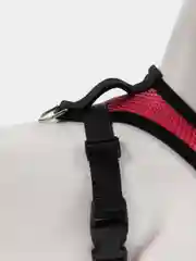 Коралловый шлейка с поводком для собак и кошек, светоотражающая