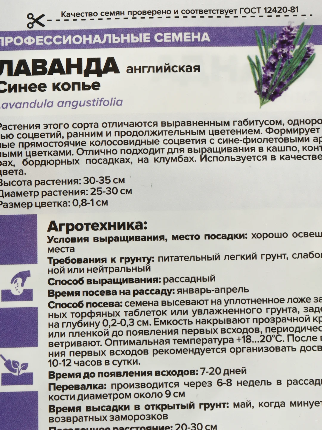 Лаванда Синее копье (семена,цветы)