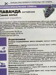 Лаванда Синее копье (семена,цветы)