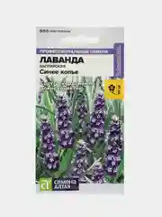 Лаванда Синее копье (семена,цветы)