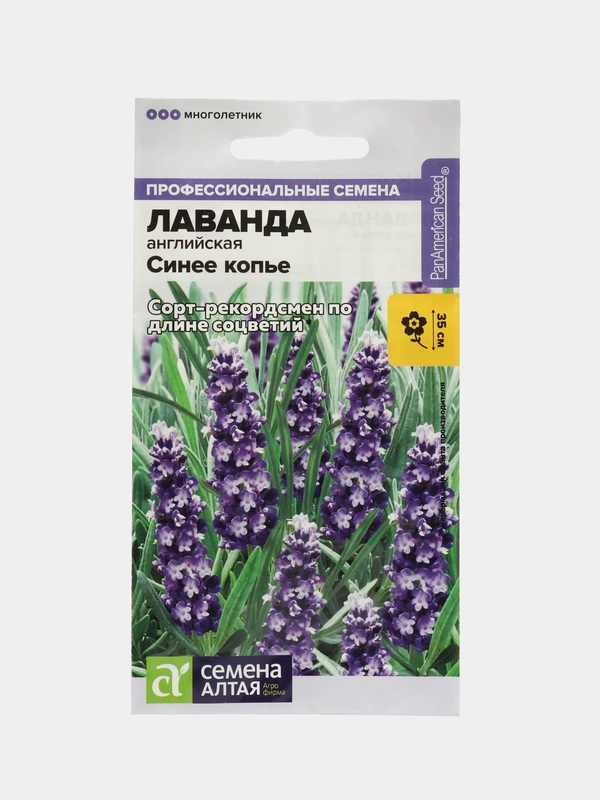 Лаванда Синее копье (семена,цветы)