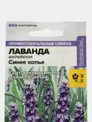 Лаванда Синее копье (семена,цветы)