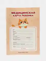 Медицинская карта А4 по форме №026/у-2000. История развития ребенка. Проф-Пресс