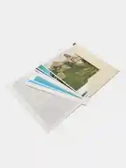 Женские образы. Серия "Искусство Н.К. Рериха"