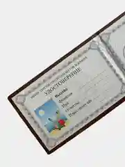 Шуточное удостоверение "Миллионера"