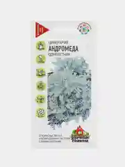 Семена набор 2шт Цинерария приморская Андромеда