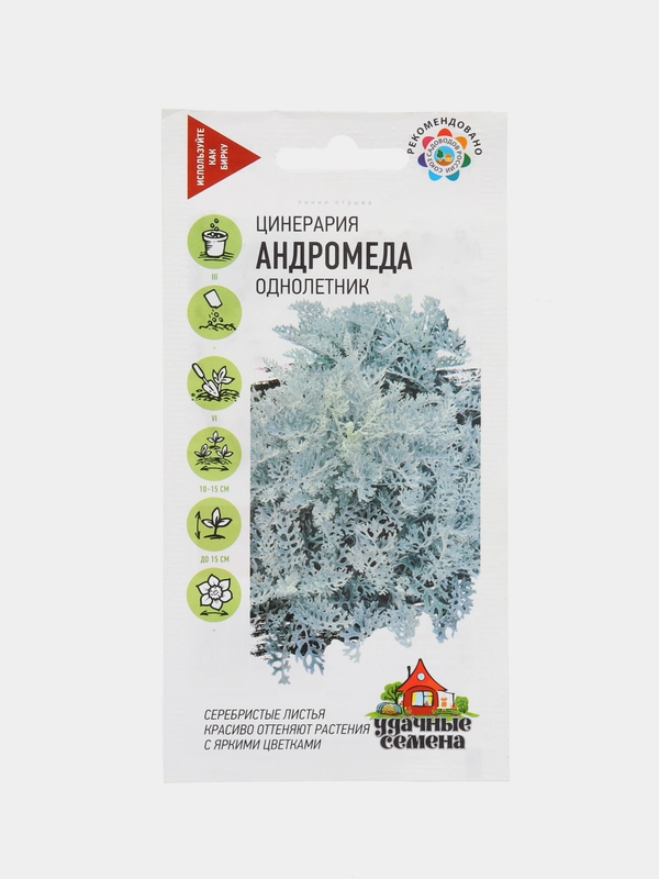 Семена набор 2шт Цинерария приморская Андромеда