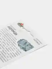 Семена набор 2шт Цинерария приморская Андромеда