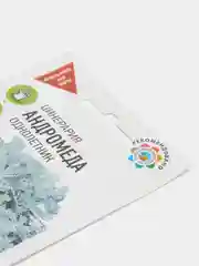 Семена набор 2шт Цинерария приморская Андромеда