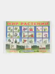 Лайм плакат Мир растений. Растения деревья, кустарники, травы, ягоды. Грибы. Овощи. Фрукты