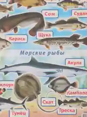 Голубой плакат Обитатели морей и океанов. Рыбы речные. Наглядное пособие для детского сада и школы