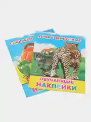 Комплект из 2-х книг с наклейками