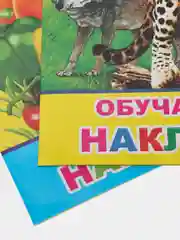Комплект из 2-х книг с наклейками